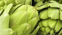 Artichoke Extract