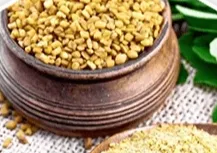 Fenugreek